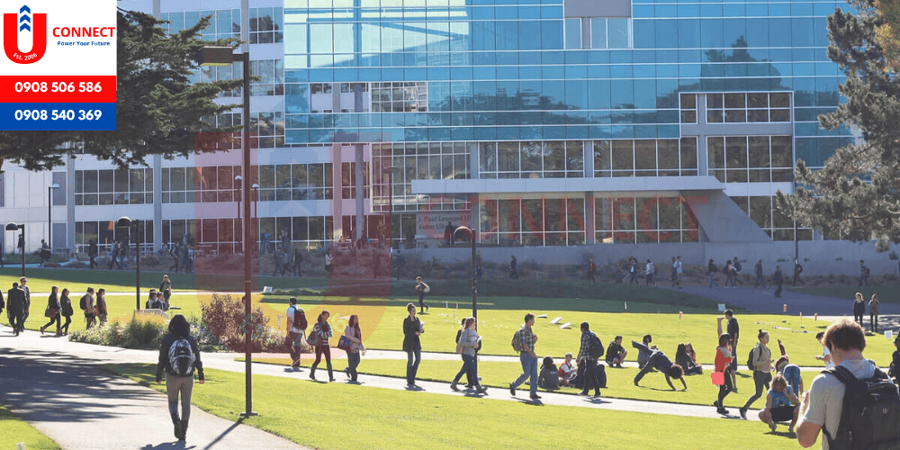 Đại học San Francisco State University, bang California – Mỹ